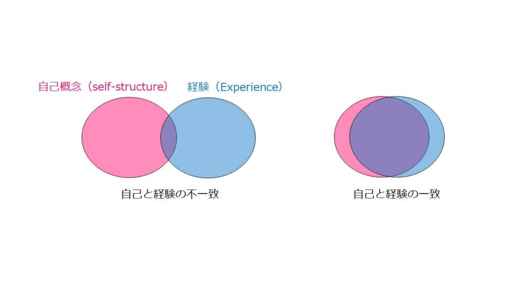 心理学の歴史 ３大勢力 精神分析学 行動主義心理学 人間性心理学 公認心理師国試 2カ月で合格できる覚え方