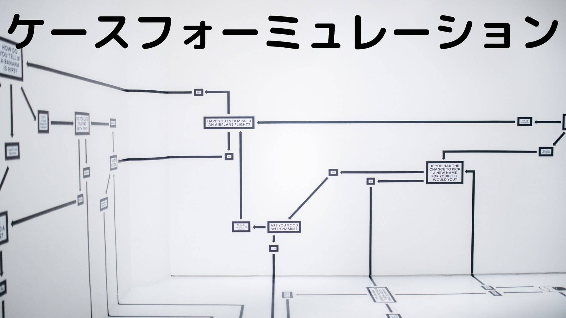 ケースフォーミュレーション】アセスメント→プランニング（定式化） | 公認心理師国試 2カ月で合格できる覚え方