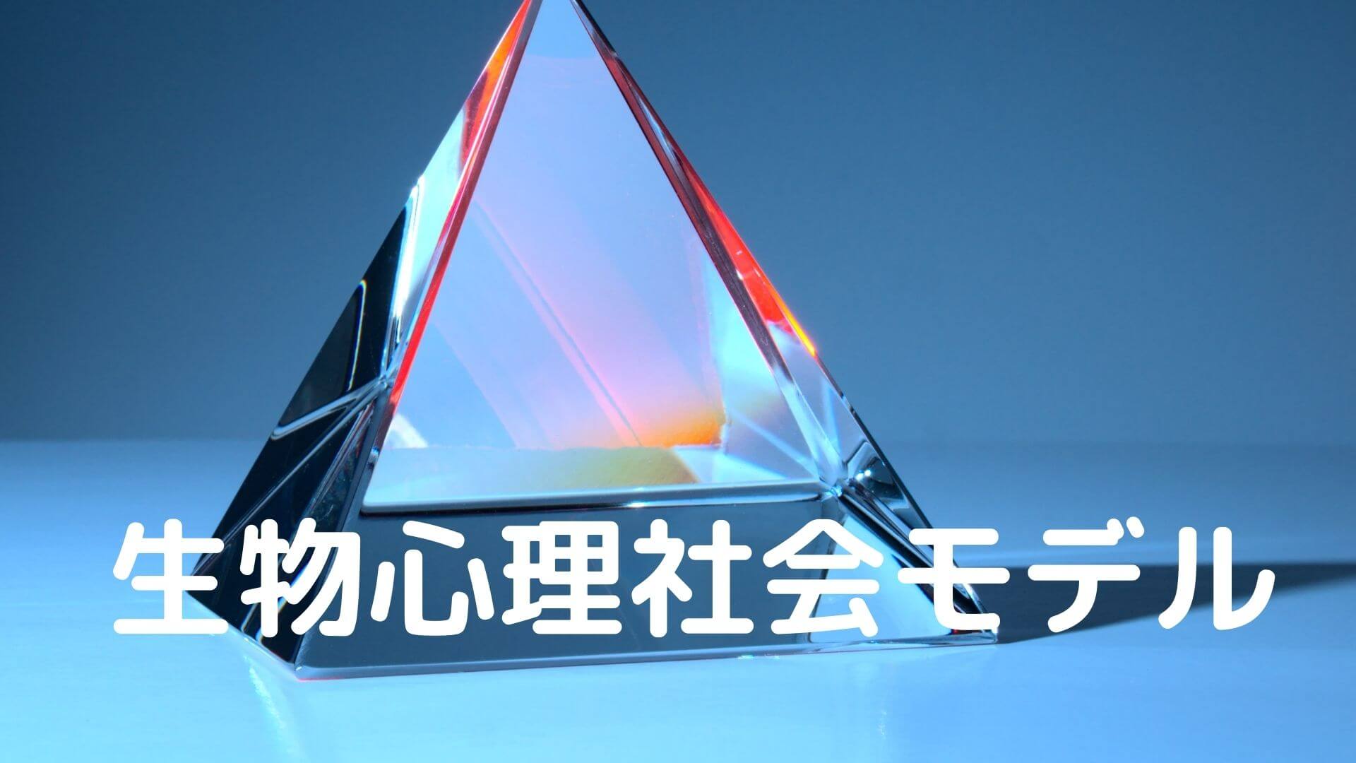 生物心理社会モデル | 公認心理師国試 2カ月で合格できる覚え方