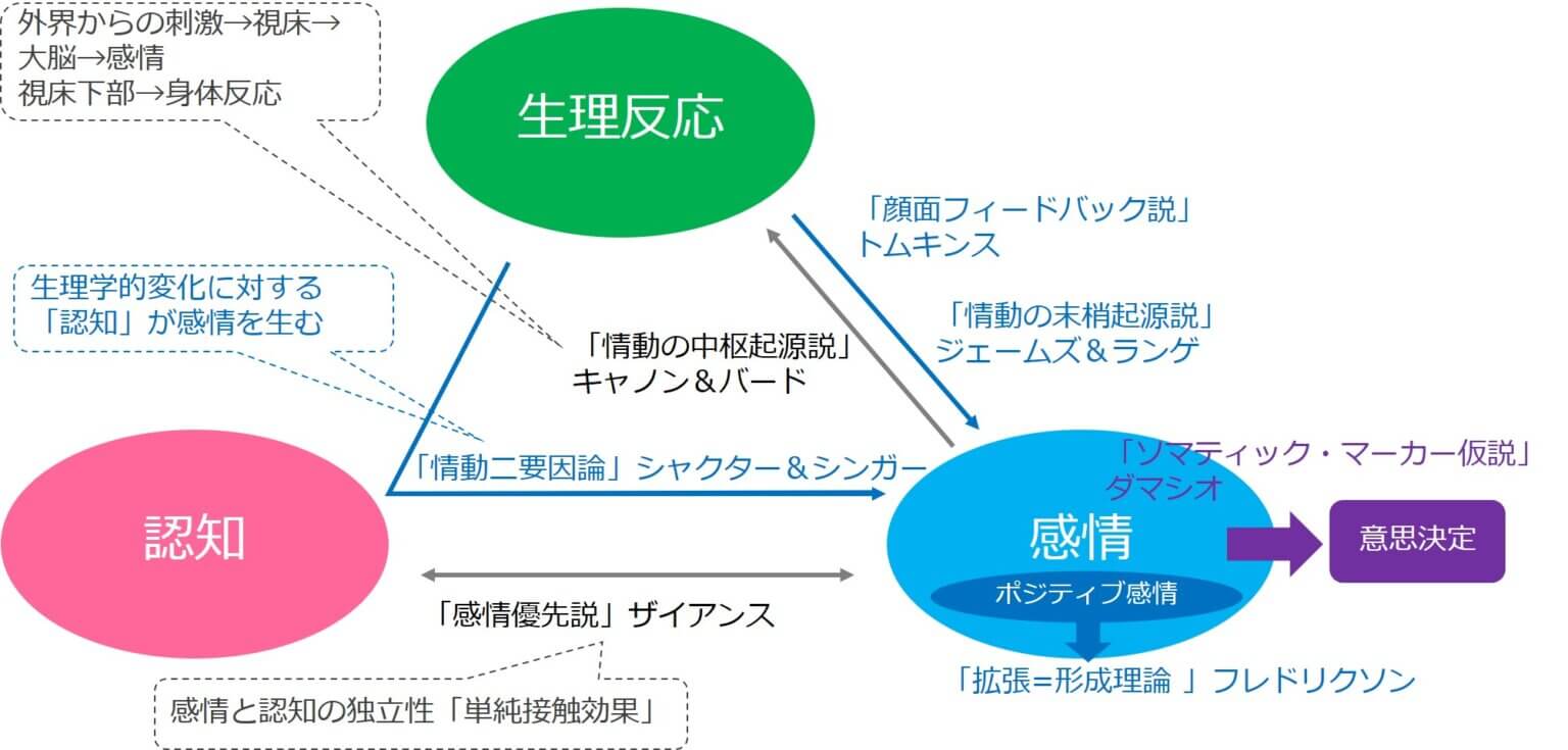 【感情理論】まとめ 公認心理師国試 2カ月で合格できる覚え方
